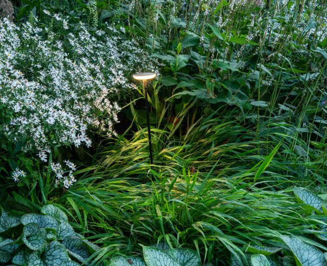 Beplantingsplan schaduw Sway in-lite