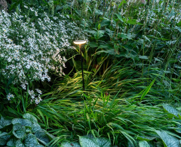 Beplantingsplan schaduw Sway in-lite