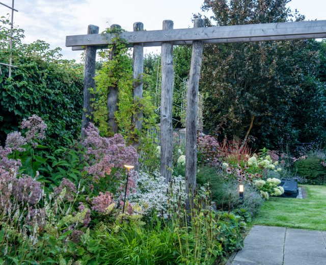 Natuurlijke pergola robinia palen