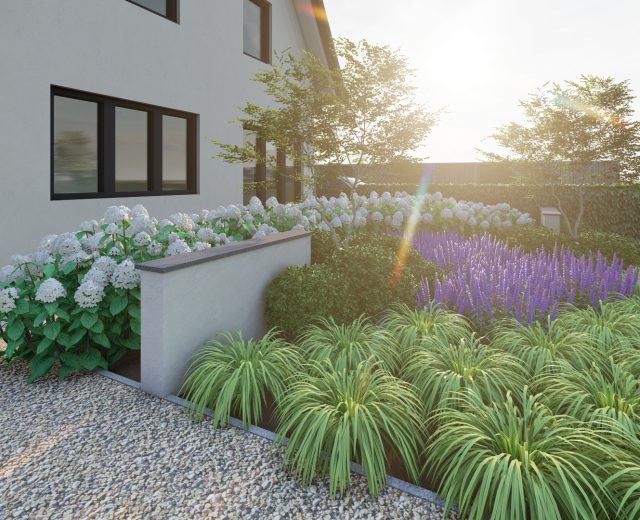 Moderne voortuin