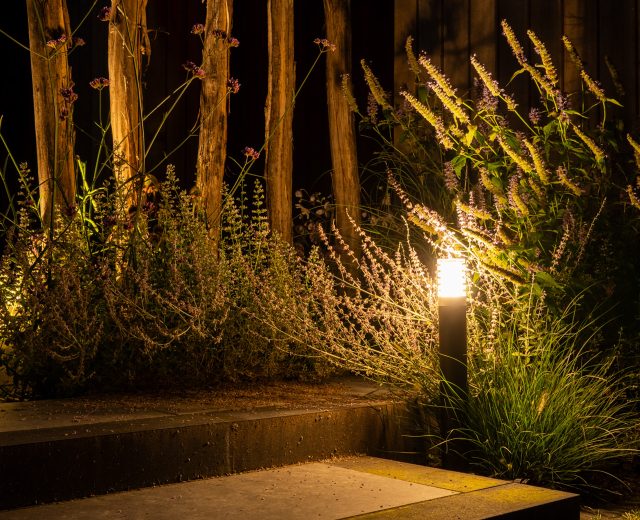 Palen in tuin met verlichting