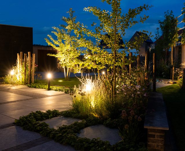 ginko met tuinverlichting