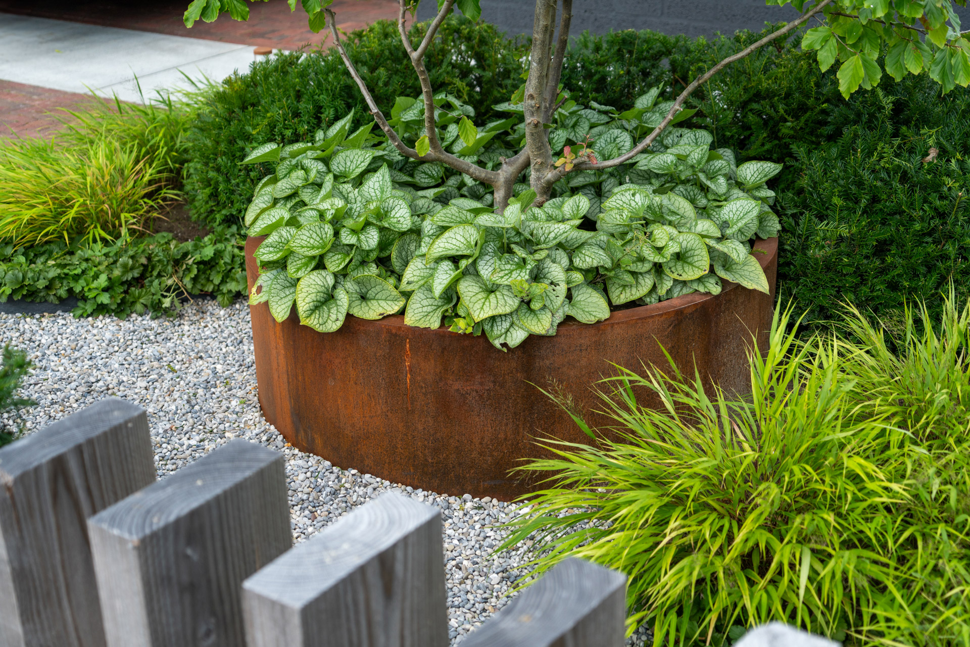 brunnera jack frost met hakonecloa en cortenstaal