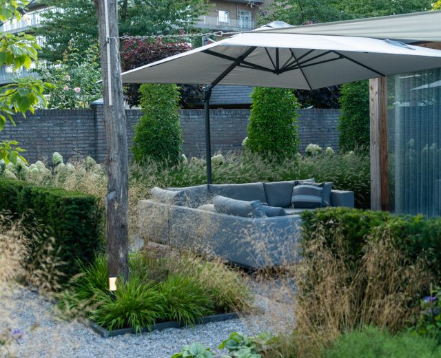 Moderne tuin