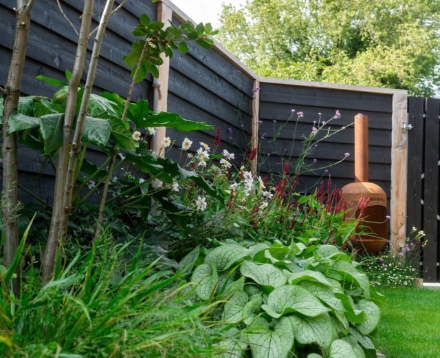 Beplantingsplan kleine achtertuin