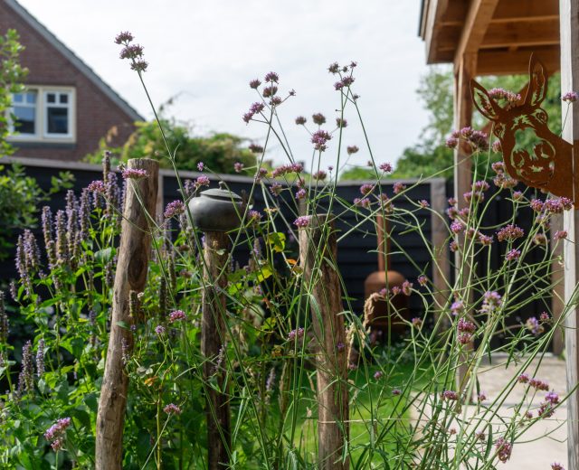 Weelderig groen